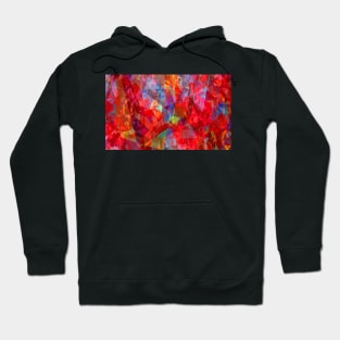 Red Shade Multi Coloured Abstract Hoodie